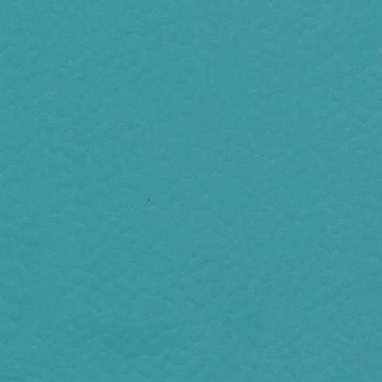 6431 Teal