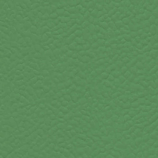 6556 Verde