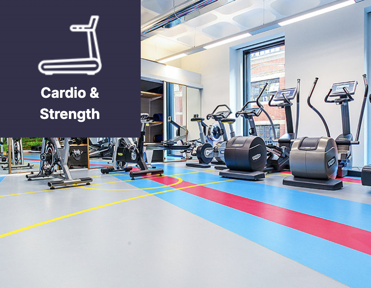 Education Sports Gym