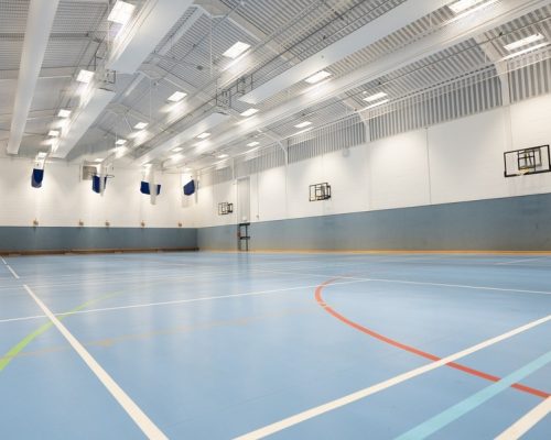 Gerflor Sports Flooring Collegiate School 2